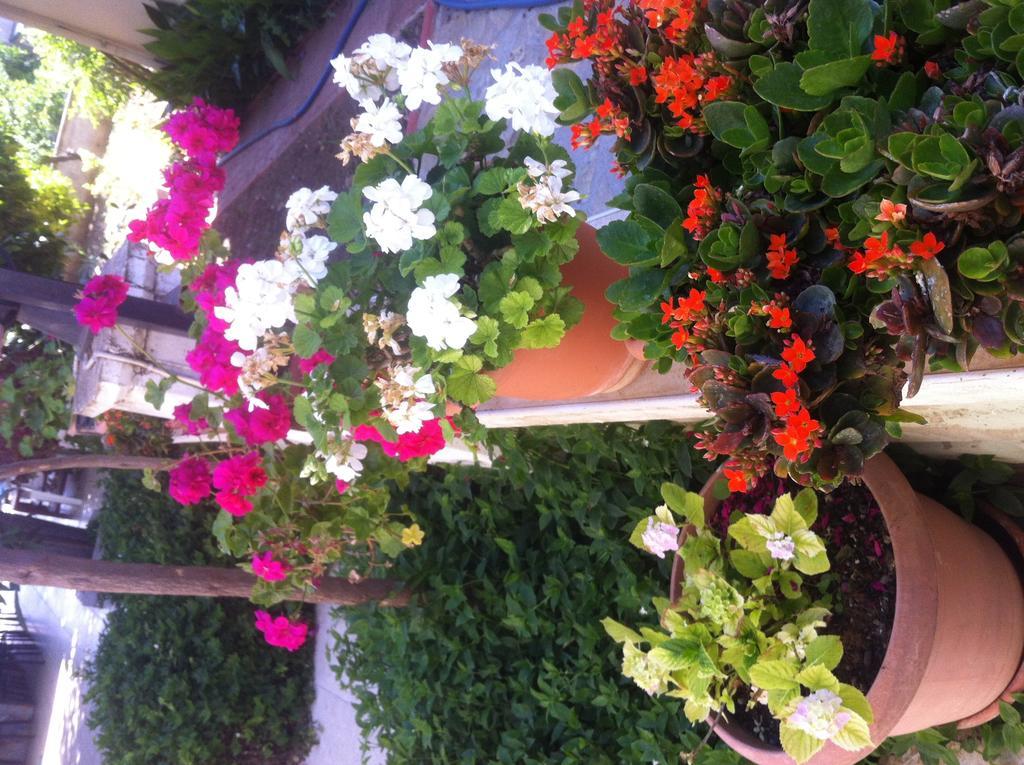 Besik Hotel Fethiye Eksteriør billede