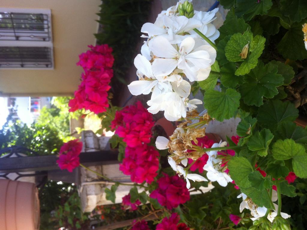 Besik Hotel Fethiye Eksteriør billede
