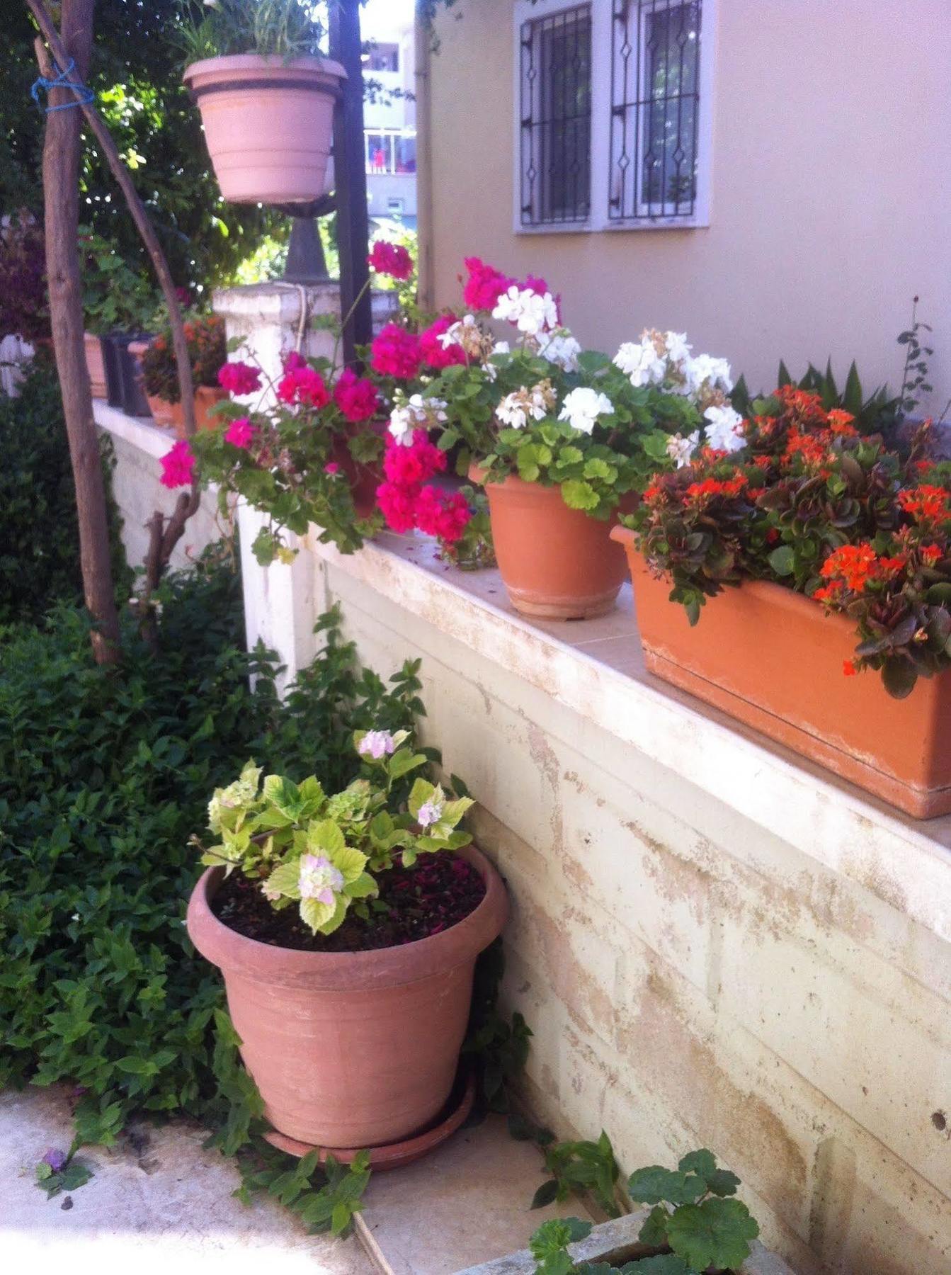 Besik Hotel Fethiye Eksteriør billede